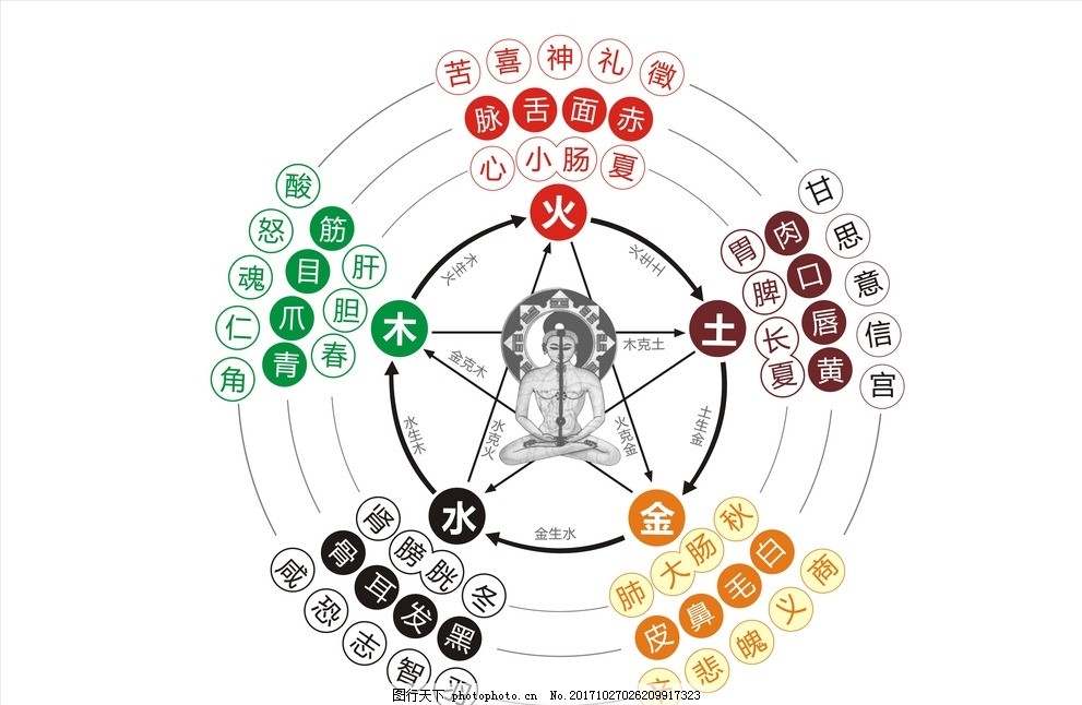 黄堇|黄堇读完了然于心