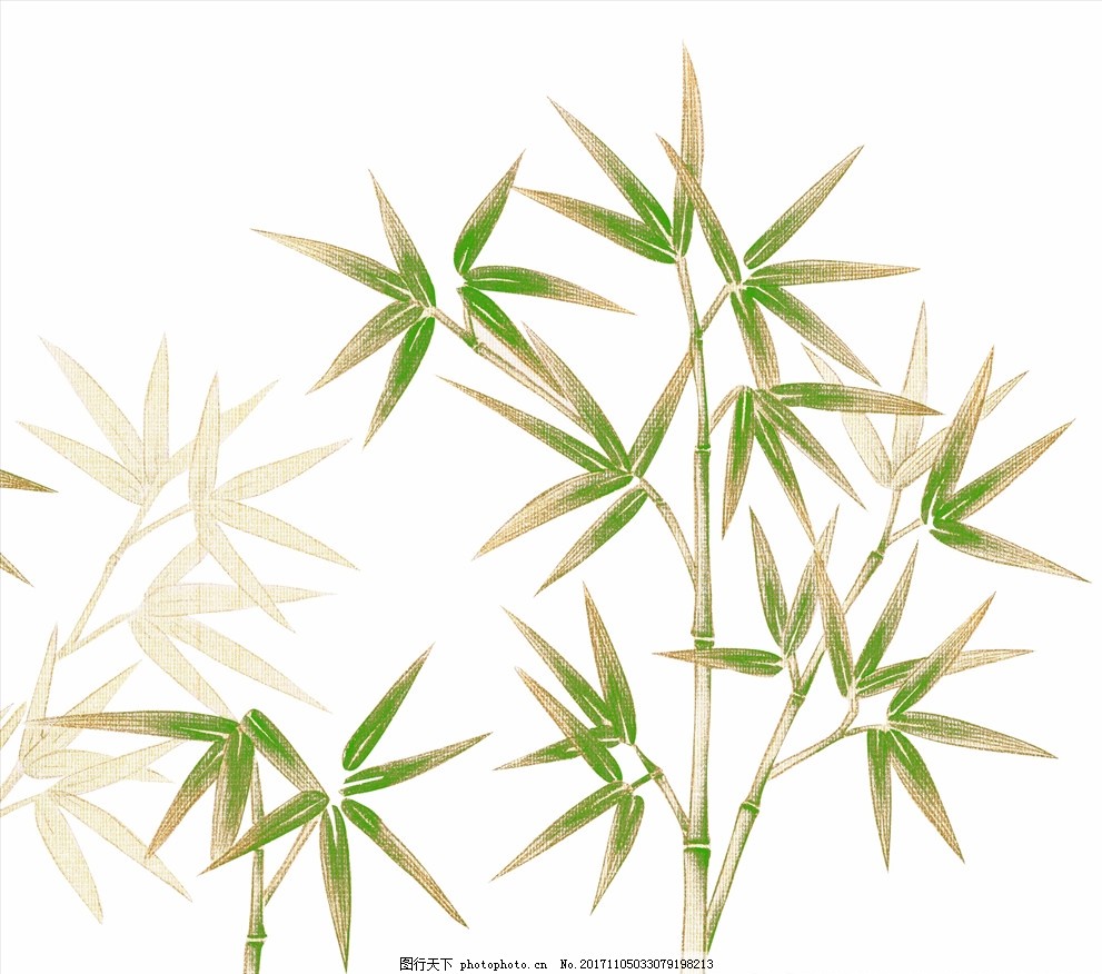 场景样机 手绘 竹子 手绘竹子 高精度 绿色 美术绘画 高精素材 竹林